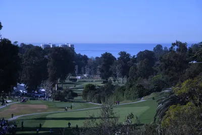 DSC_0735 (Large).JPG